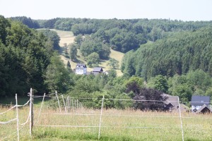 Blick auf Mennkausen.